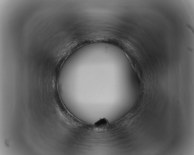 X0000102520546200808081032