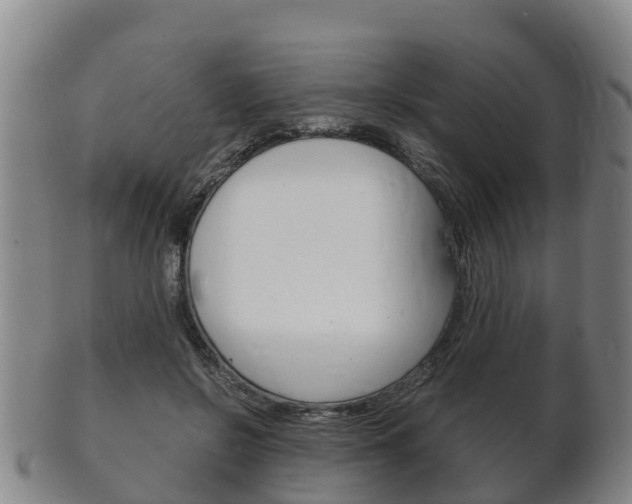 X0000102520550200808081032
