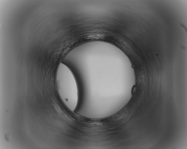 X0000102520551200808081032