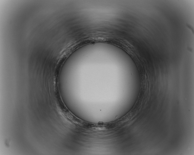 X0000102520552200808081032
