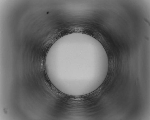 X0000102520553200808081032