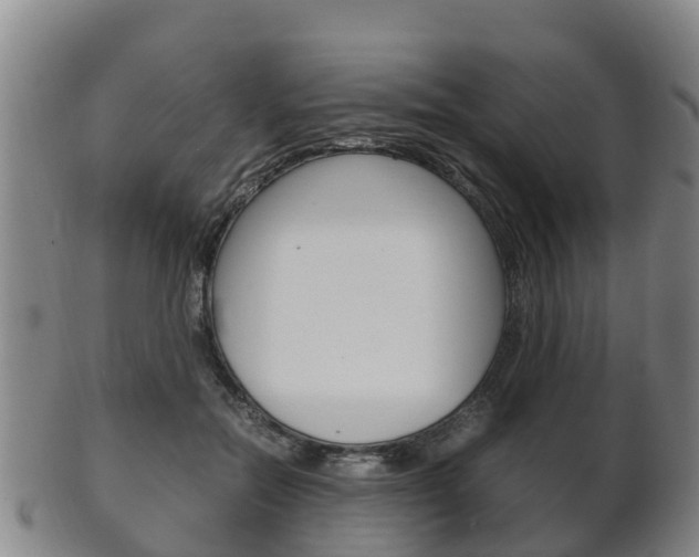 X0000102520554200808081032