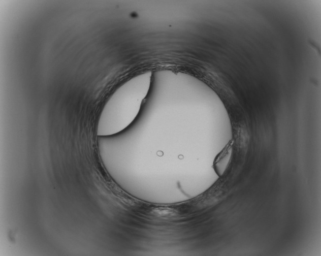 X0000102520557200808081032