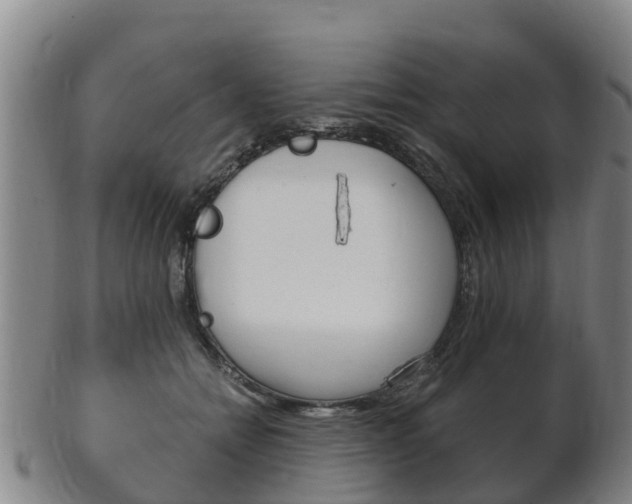 X0000102520558200808081032