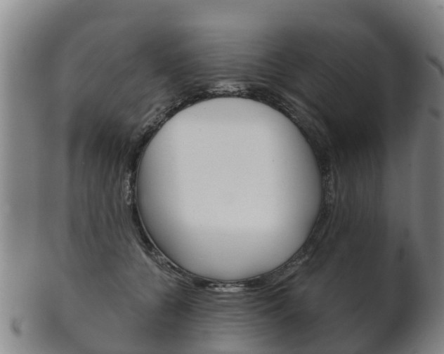 X0000102520560200808081032
