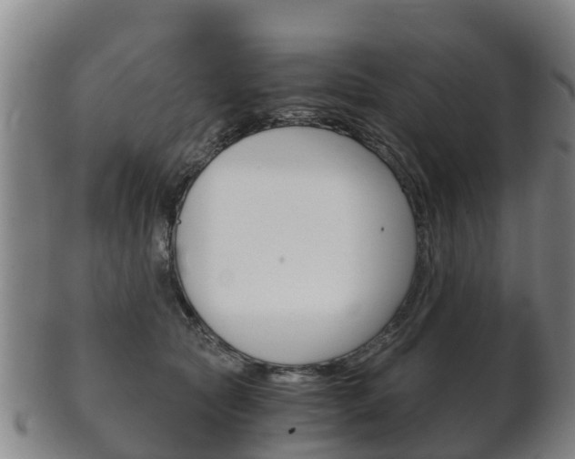 X0000102520561200808081032