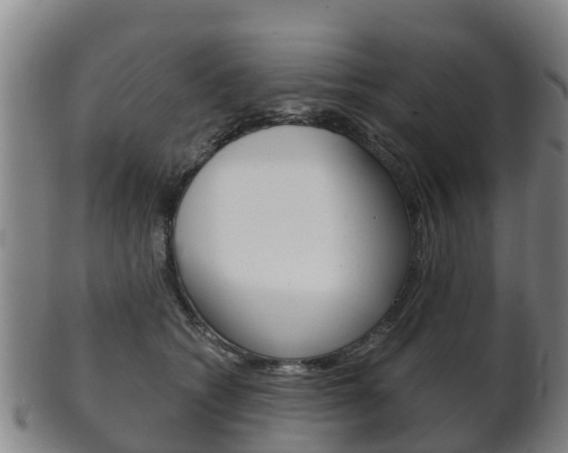 X0000102520562200808081032