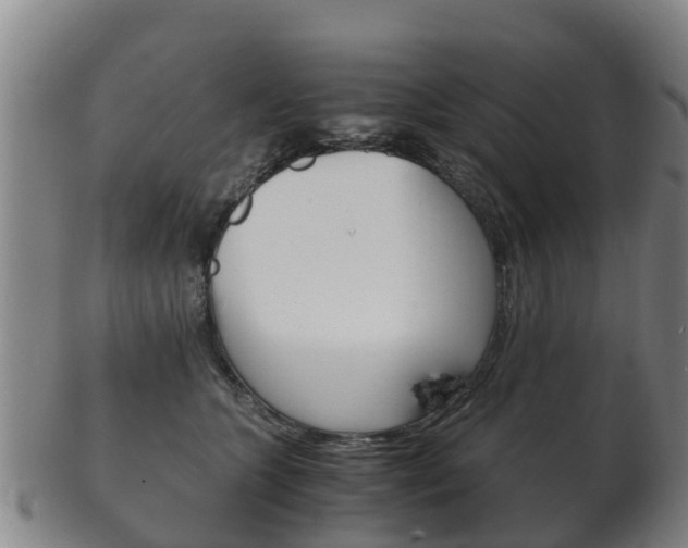 X0000102520563200808081032