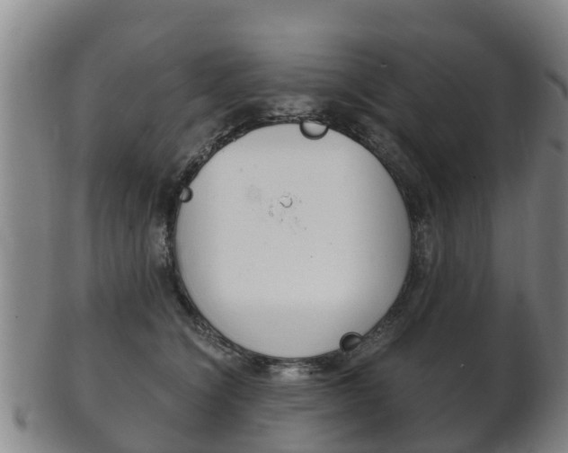 X0000102520564200808081032