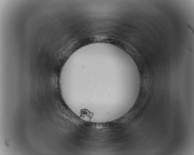 X0000102520565200808081032