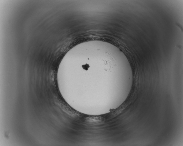 X0000102520567200808081032