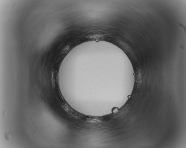 X0000102520572200808081032