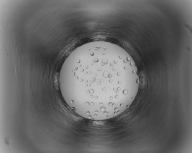 X0000102520573200808081032