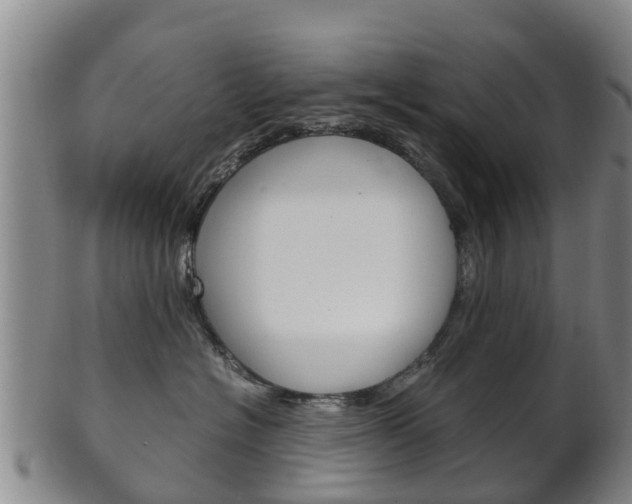 X0000102520574200808081032