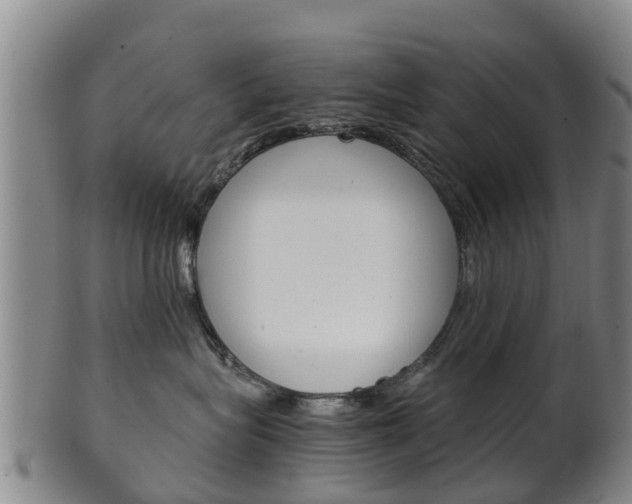 X0000102520575200808081032