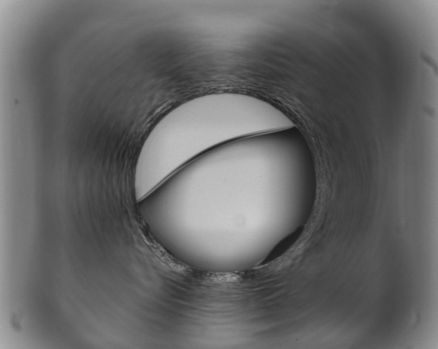 X0000102520576200808081032