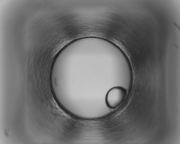 X0000102520577200808081032
