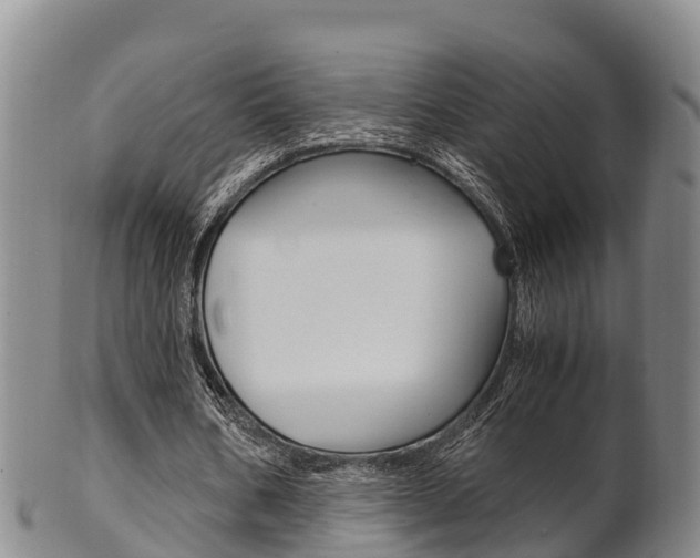 X0000102520578200808081032