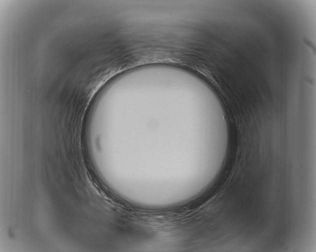 X0000102520579200808081032
