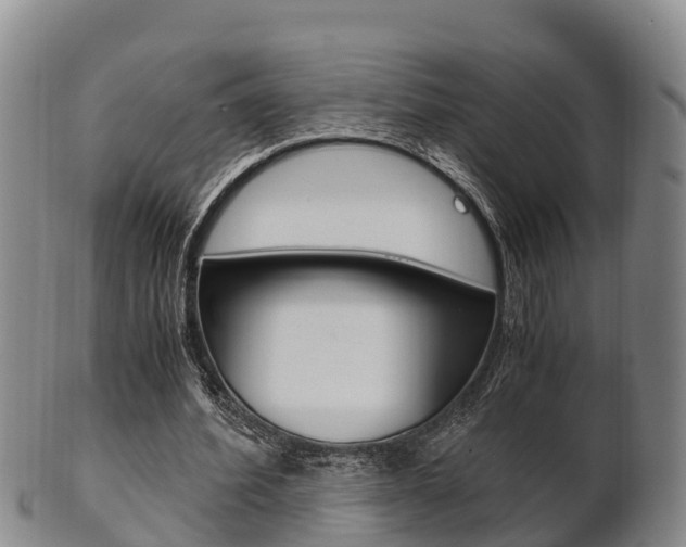 X0000102520580200808081032