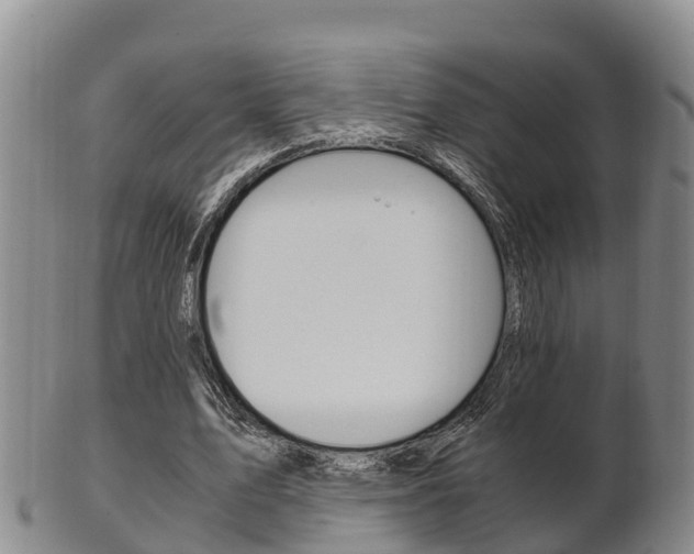 X0000102520583200808081032