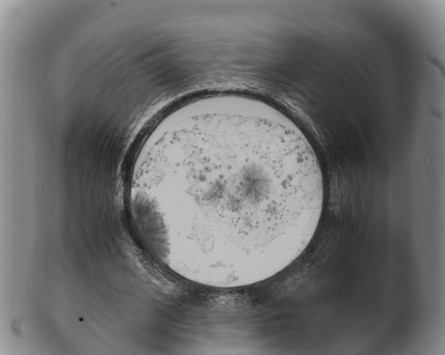 X0000102520584200808081032