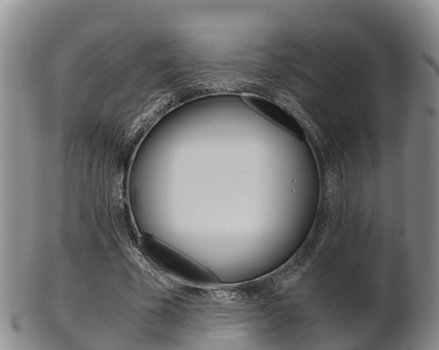 X0000102520585200808081032