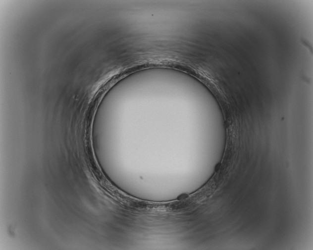 X0000102520587200808081032