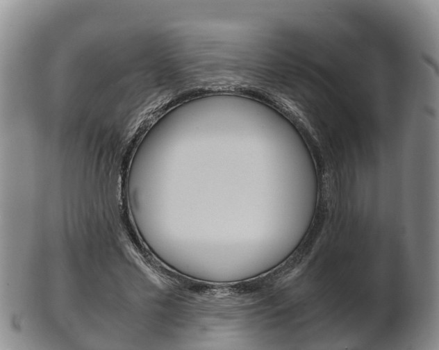 X0000102520589200808081032