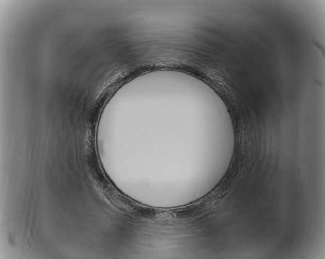 X0000102520591200808081032