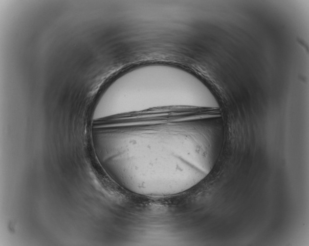 X0000102520592200808081032