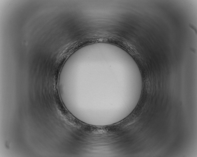 X0000102520594200808081032