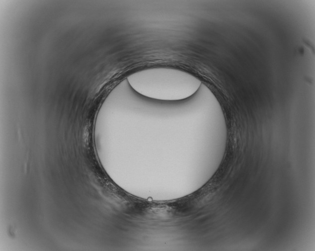 X0000102520595200808081031