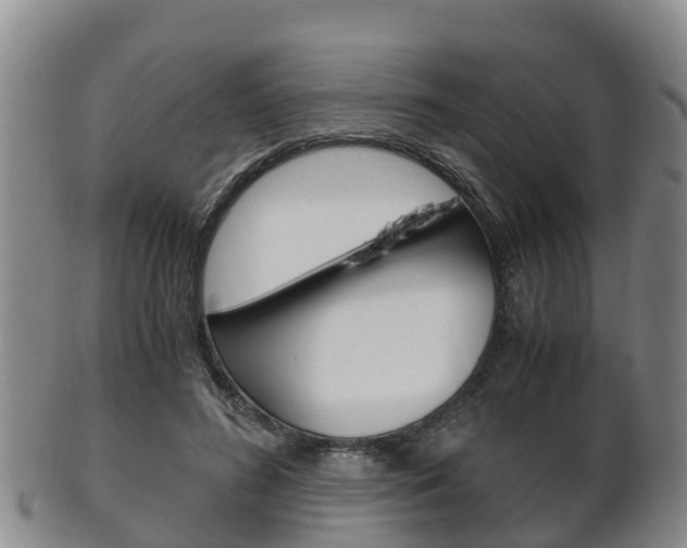X0000102520596200808081031