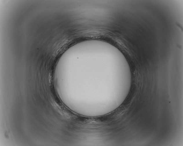 X0000102520597200808081031