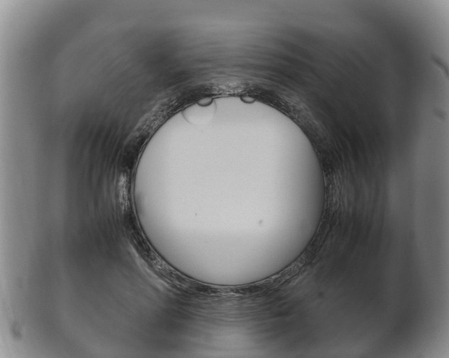 X0000102520598200808081031