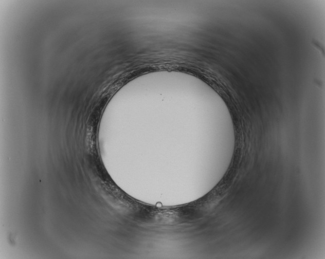 X0000102520599200808081031