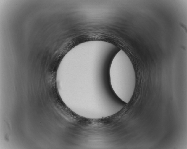 X0000102520601200808081031