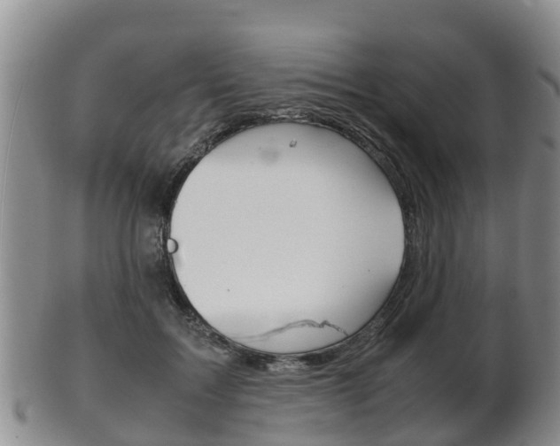 X0000102520603200808081031