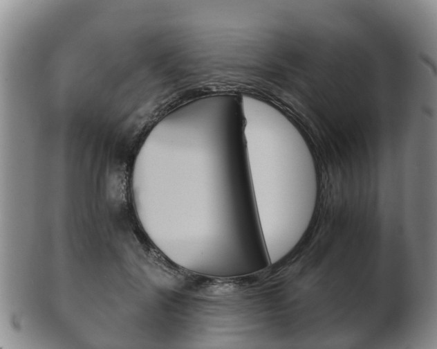 X0000102520604200808081031