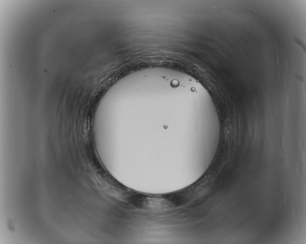 X0000102520605200808081031