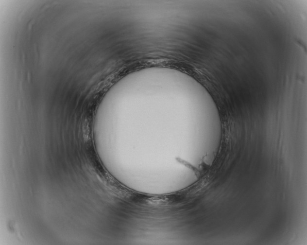 X0000102520606200808081031