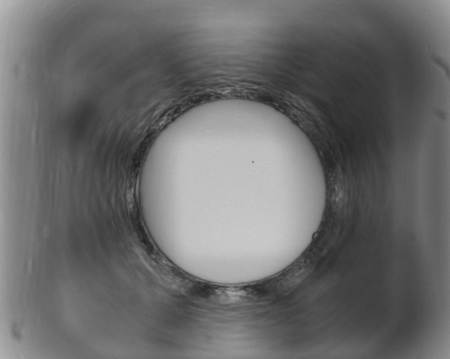 X0000102520607200808081031