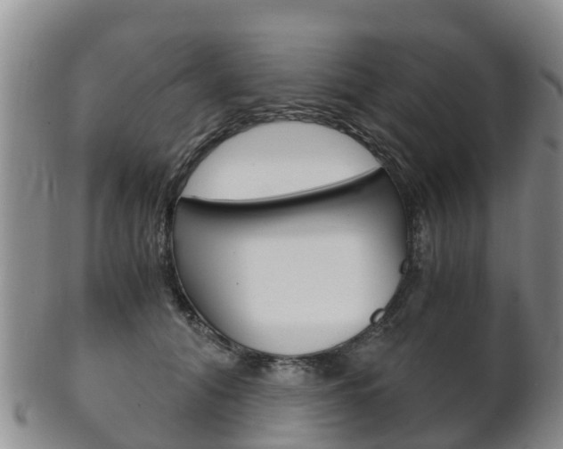 X0000102520608200808081031
