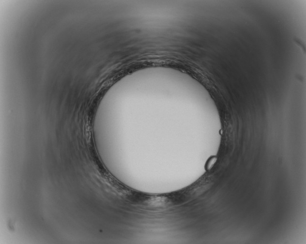 X0000102520609200808081031