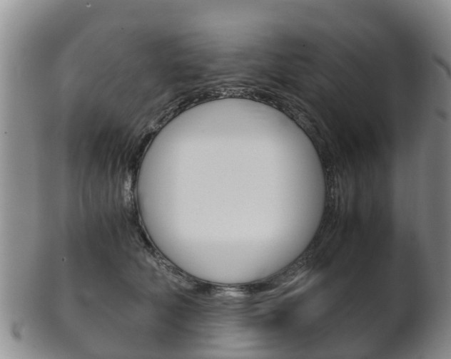 X0000102520610200808081031