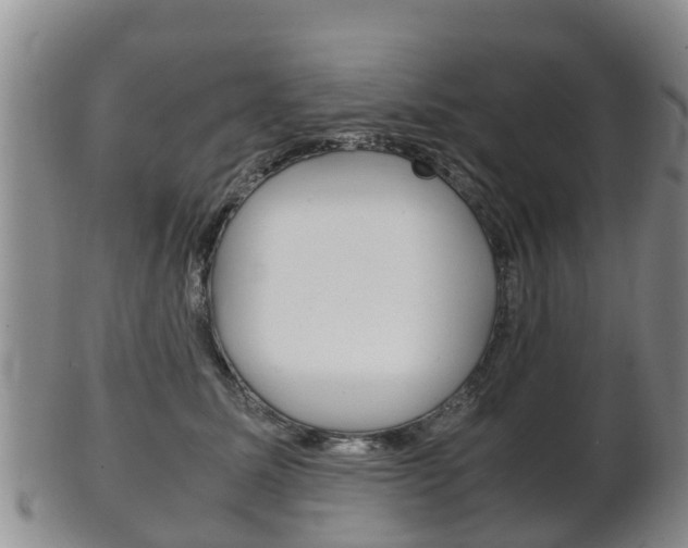 X0000102520611200808081031