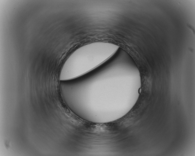 X0000102520612200808081031