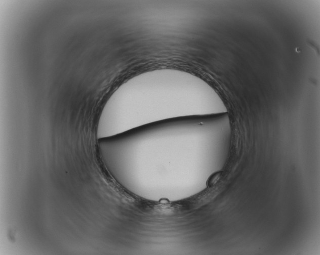X0000102520613200808081031