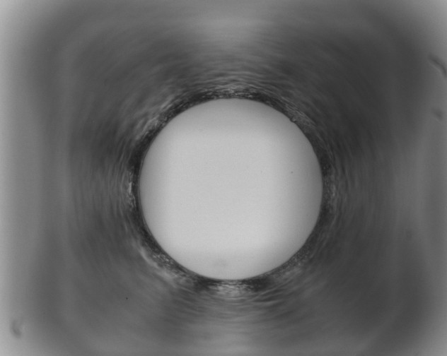 X0000102520615200808081031